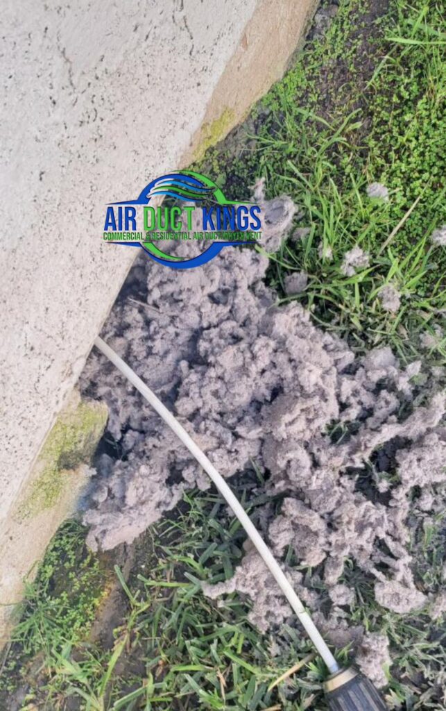 Lint removed during dryer vent cleaning in Orange County