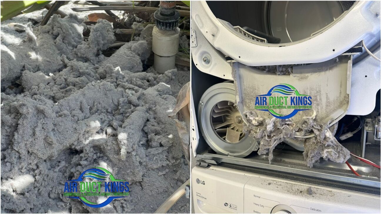 Professional Dryer Cleaning