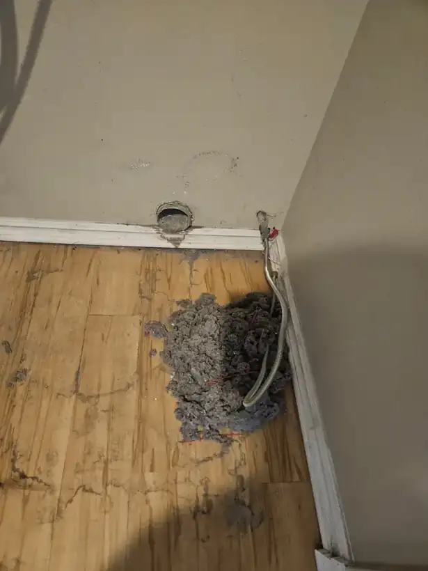 Lint pulled out of a clogged dryer vent in an Irvine laundry room